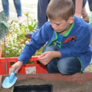 VI. Apró kezek, Csodakertek Gyermek Kertépítő verseny (Fotó: Bánhegyi István)