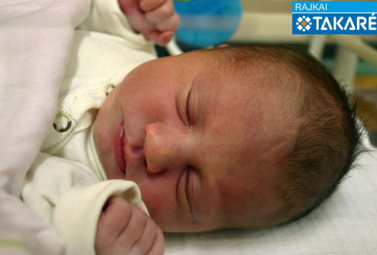 Parapatics Mira, Mosonmagyaróvár