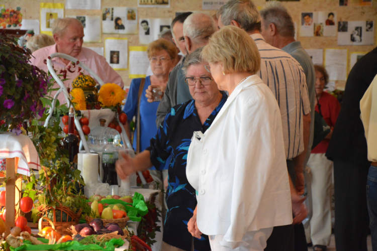 Legszebb konyhakertek (Fotó: Nagy Mária)