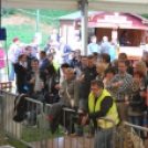 VII. Szigetköz ízei, Vármegye borai fesztivál péntek 2. (Fotó: Nagy Mária)