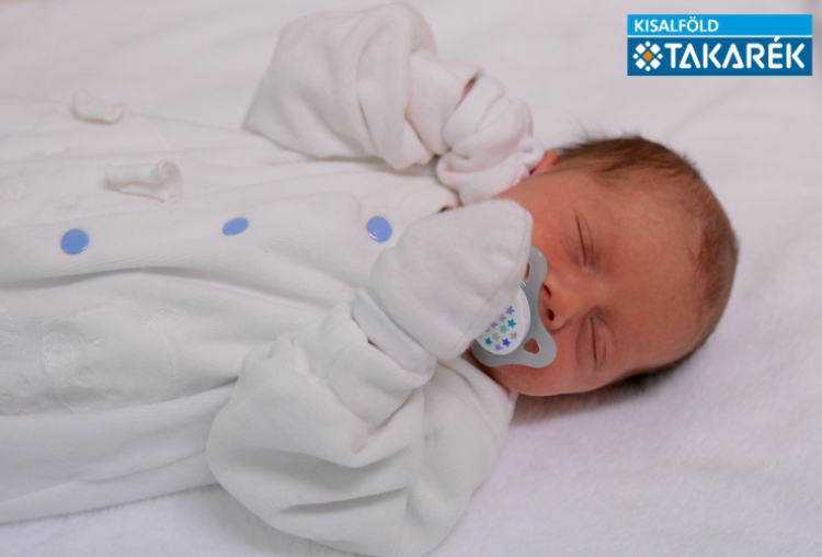 Dano Nolen, Mosonmagyaróvár