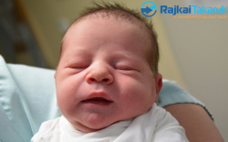 Tóka Zalán, 3630 gr. Mosonszentmiklós