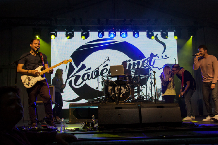 Szigetköz ízei, Vármegye borai Fesztivál - 1 nap