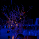 A Mosonyi Mihály Zeneiskola karácsonyi hangversenye