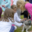 Pillangó Óvoda gyermeknap 2