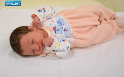 Varju Mia, Várbalog