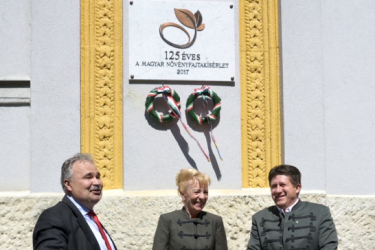 Emléktábla avatás