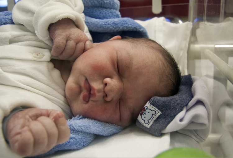 Sütő Róbert, Hegyeshalom