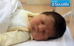 Tóth Boglárka Marianna, Mosonmagyaróvár