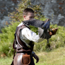 XII. Szigetköz ízei, Vármegye borai Fesztivál 2. nap