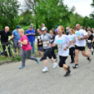 XII. Greiner Szigetköz Minimaraton (Fotó: Horváth Attila)