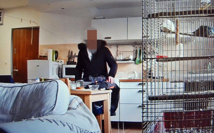 Beismerte tettét a mosonmagyaróvári besurranó tolvaj