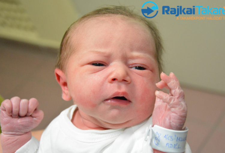 Ács-Molnár Adél, 3318 gr. Osli