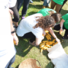 Paraszt olimpia (Fotó: Nagy Mária)