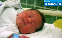 Matkovics Marcell, Győrsövényház