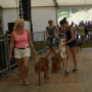 XII. Szigetköz ízei, Vármegye borai Fesztivál 3. nap