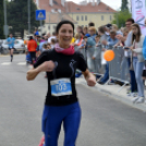 XIV. Greiner Szigetköz Félmaraton