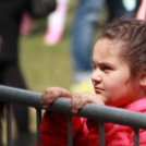  Városi Majális 2017 