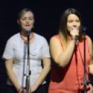 Dan Hrvata, Horvát Nap