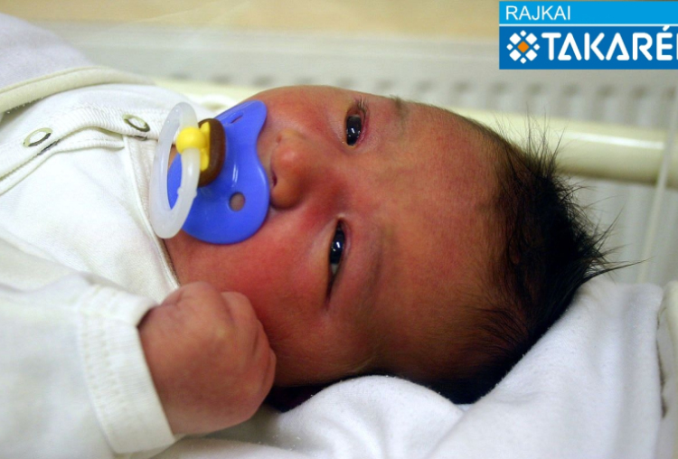 Hegyi Ármin István, Rajka