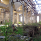 A Monarchia ipartelepeinek lezáratlan története