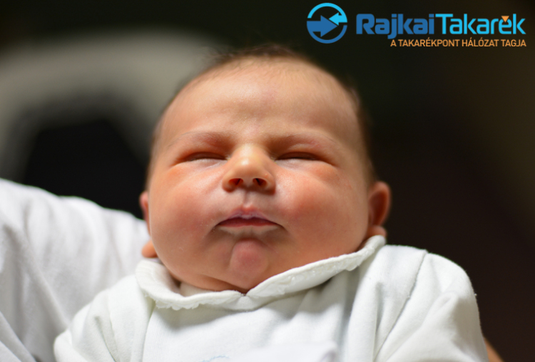 Danavár Zalán, Mosonmagyaróvár