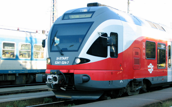 Újabb migránsokat állítottak elő a rendőrök.