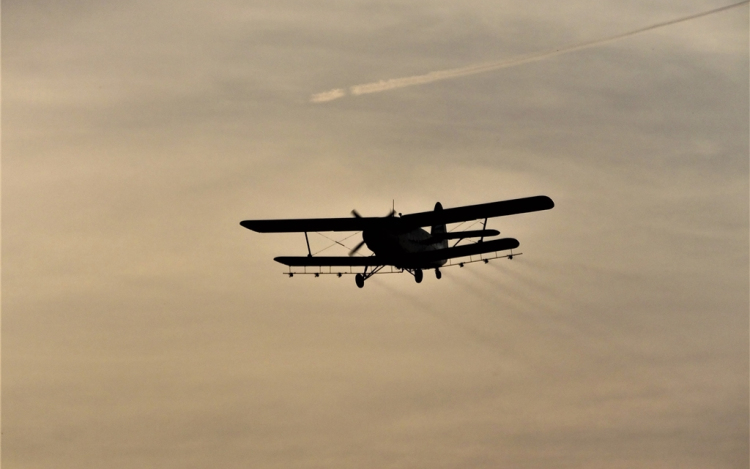 Harmadik hete folyik a szúnyoggyérítés 