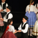 Nyárcsalogató (Fotó: Nagy Mária)