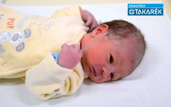 Grósz Ábel Nándor, Mosonmagyaróvár