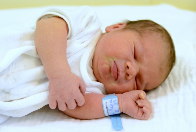 Bölcskei Bence, Hegyeshalom