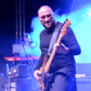 Voluta 1 nap (Fotó: Stipkovits Veronika és Bánhegyi István)