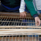 X. Jánossomorjai Tökfesztivál (Fotó: Horváth Attila)