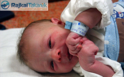 Talabér Dávid, Csorna