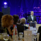 Virilista est 2015 Mosonmagyaróvár (Fotó: Horváth Attila)