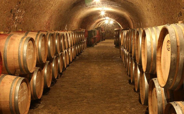 A mustgáz veszélyére figyelmeztet a katasztrófavédelem