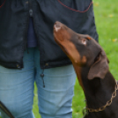 Agility Attilával (Fotó: Nagy Mária)