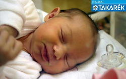 Nescsák Anna, Mosonmagyaróvár