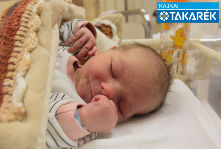 Enzsöl Dávid, Károlyháza