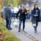 Márton nap a Móra Ferenc Általános Iskolában