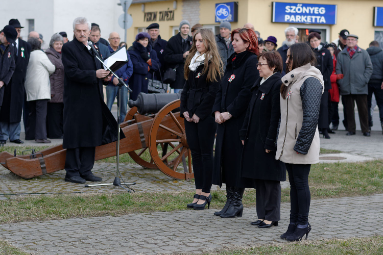 2015. MÁRCIUS 15. Mosonmagyaróvár  (Fotó: Horváth Attila)
