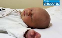 Szalka Léni, Jánossomorja