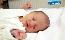 Divós Tamás Nimród, Jobaháza