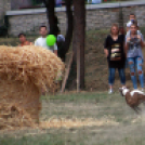 XI. Szigetköz ízei, Vármegye borai Fesztivál 3. nap