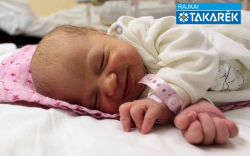 Magyar Dorka, Mosonmagyaróvár