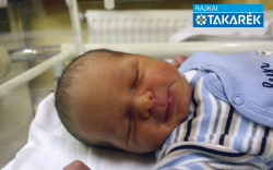 Marton Bálint, Mosonmagyaróvár