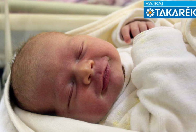 Fodor Klára, Mosonmagyaróvár