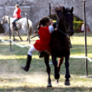 XI. Szigetköz ízei, Vármegye borai Fesztivál 2. nap Várárok