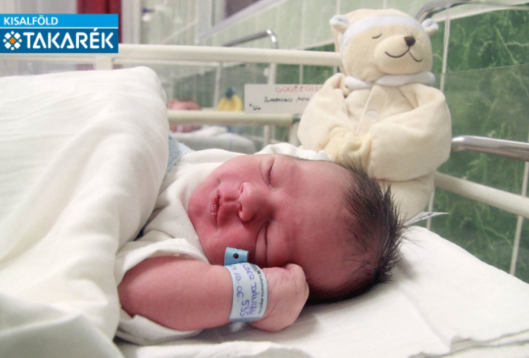 Felber Dániel, Halászi