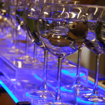 Víz Világnapja 2013 (Fotó: Nagy Mária)